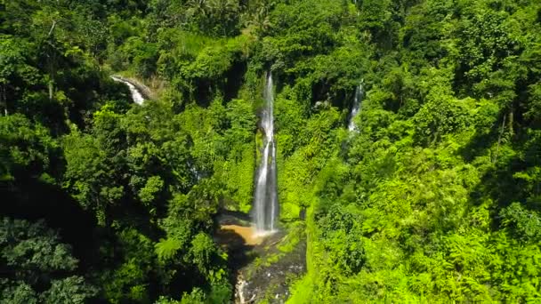 Cachoeiras tropicais Sekumpul em Bali Island, Indonésia — Vídeo de Stock