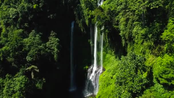 Tropical Sekumpul Waterfalls in Bali Island, Indonesia — Stock Video