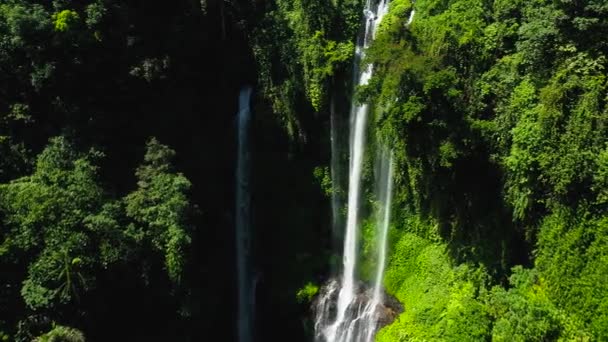 Romantik Sekumpul Şelalesi Ormanda. — Stok video