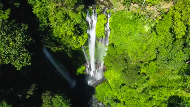 Endonezya, Bali Adası 'ndaki Tropikal Sekumpul Şelaleleri. Egzotik Şelale ve Güzel Gökkuşağı. — Stok video
