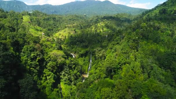 Yeşil Yağmur Ormanı 'ndaki güçlü Tropik Şelale. Rice Field yakınlarındaki şelale. — Stok video