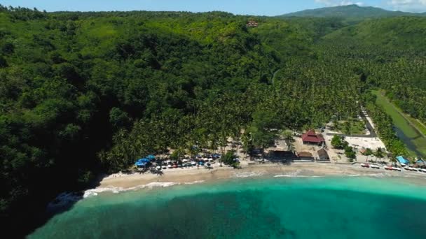 니 사 페니 다 섬에 있는 거대 한 바다의 파도 — 비디오