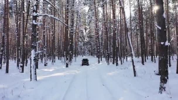 在阳光灿烂的日子里，越野车在冬季的森林里行驶 — 图库视频影像