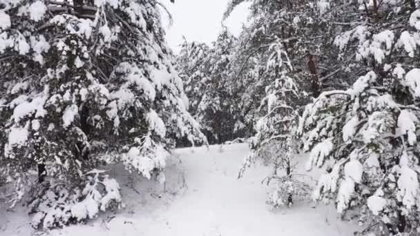 Parco invernale sulla neve con vista aerea nuvolosa. — Video Stock