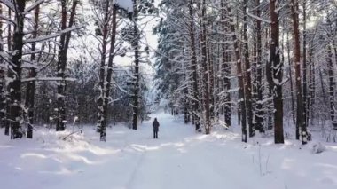Kışın orman havası manzarasında yürüyen bir kız.