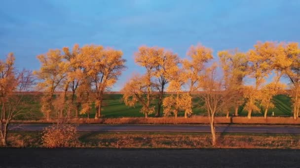 Wiejski nowoczesny ruch drogowy z pięknymi drzewami z pomarańczowymi liśćmi o zachodzie słońca widok z powietrza wieczorem — Wideo stockowe