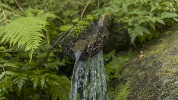Górskie źródło z wodą pitną dla turystów. — Wideo stockowe