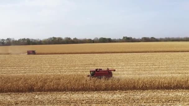 Two Combines harvesting corn anerial view. — Stock video