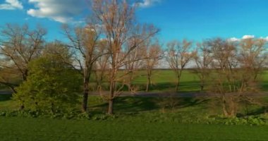 Akşam Havası Manzarasında Ülke Yolu