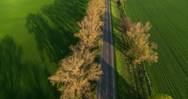 Traffic on the Country Road at the Sunset Aerial Top View — Stock Video