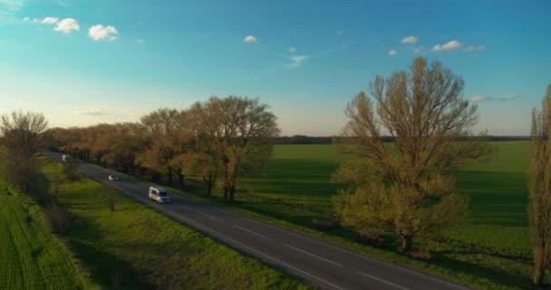 Voiture sur une route de couleur printanière à la vue aérienne du soir — Video