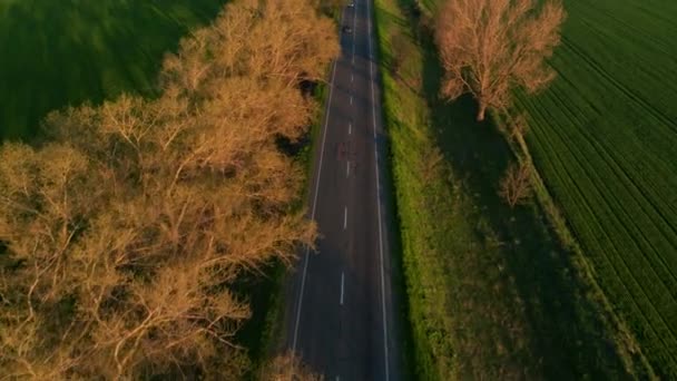 Highway mellan vackra gröna fält vid solnedgången Flygfoto — Stockvideo