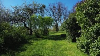 Parkta birinci şahıs hava manzaralı yürüyün