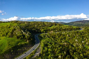 Dağlardaki Uzun Eğri Orman Yolu Hava Görüntüsü