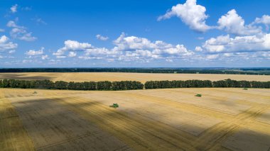 Buğday Tarlası Hasat Makinesi Hava Görünümü Çalışıyor