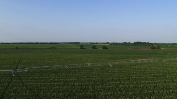 Campo de Agricultura de Riego. Sistema de riego para la agricultura en el día soleado — Vídeos de Stock