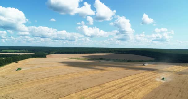 Cosechadoras cosechan trigo del campo en un día soleado vista aérea — Vídeos de Stock