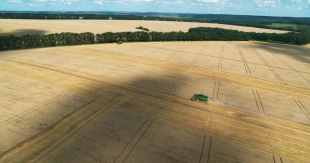 Máquina segador trabajando en vista aérea de campo — Vídeos de Stock