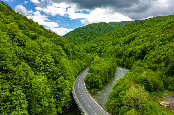 Güzel yeşil ağaçlarla kaplı Karpatya dağları gökyüzü manzarası.