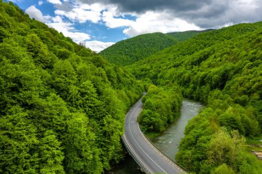 Güzel yeşil ağaçlarla kaplı Karpatya dağları gökyüzü manzarası.