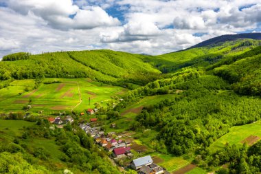 Güzel yeşil ağaçlarla kaplı Karpatya dağları gökyüzü manzarası.