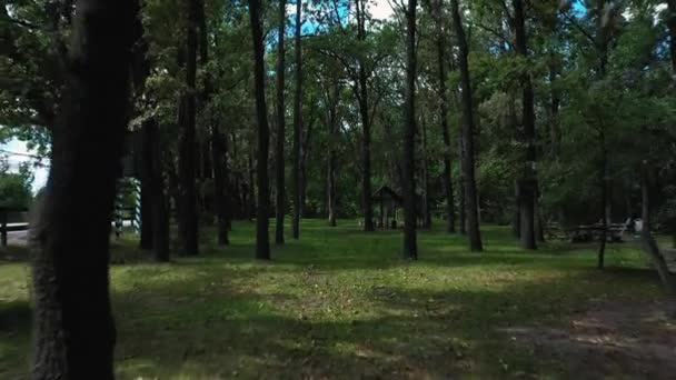 Espace de repos et de collation avec tables de pique-nique en bois et gazebo pour les voyageurs dans la forêt — Video