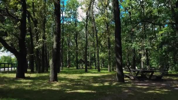 Zona relax e snack con tavoli da picnic in legno e gazebo per i viaggiatori nel bosco — Video Stock