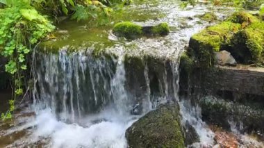 Berrak dağ deresi yosunlarla kaplı çıkıntıların üzerine dökülüyor ipeksi perdeler ve kabarcıklar yaratıyor huzurlu doğa sahnesinde..