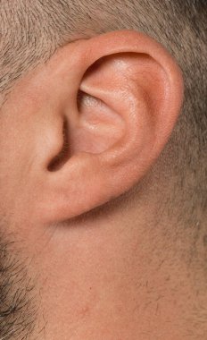 İnsan kulağının kapanması kafa derisinin yanında deri dokusu ve saç olduğunu gösteriyor.