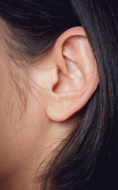 Görünür deri dokusu ve saç telleriyle insan kulağına yakın çekim.