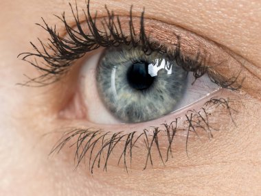 Kadın Gözü 'nün Makro Çekimi