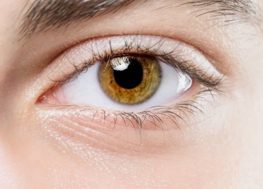 Bir Kadının Açık Hazel Gözü ve Tanımlanmış Kaşının Yakın Çekimi