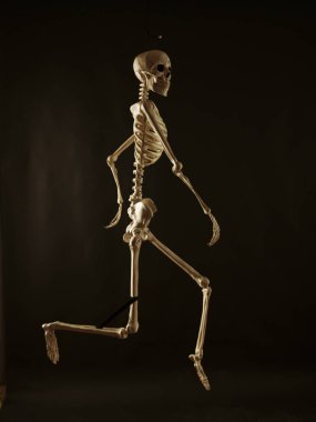 Karanlık bir arkaplana karşı dinamik bir şekilde çalışan bir iskelet modeli.