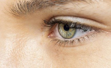 Kirpikli birinin yeşil gözünün yakın görüntüsü..