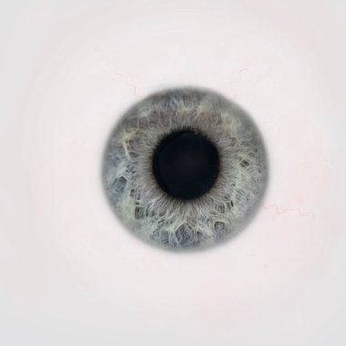 Benzersiz renk ve desenlere sahip bir insan gözünün yakın çekimi.