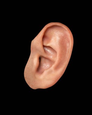 Gerçekçi insan kulağı siyah bir arkaplanda görüntülenir.
