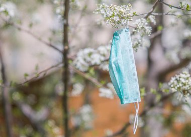 Çiçek açmış bir ağaç dalından sarkan cerrahi maske.