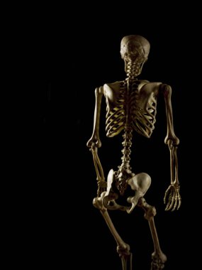 Siyah arka planda oturan insan iskeleti modeli.