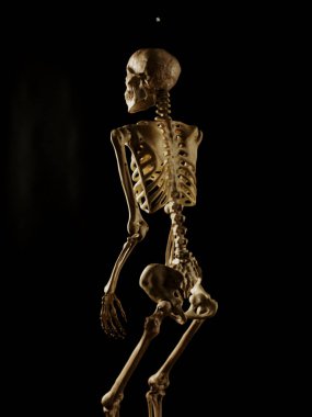 Koyu bir arka planda oturan insan iskeleti..