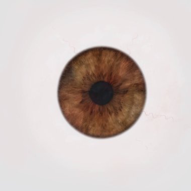 İnsan gözünün kapanışı karmaşık desenler ve iris renkleri gösteriyor