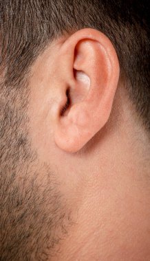 Erkek insan kulağının yakın görüntüsü