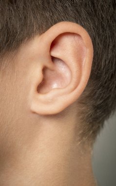 Erkek insan kulağının yakın görüntüsü