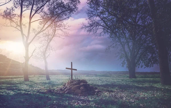 Uzun ağaçlar ve otlarla çevrili mezarların üzerinde haç üstüne haç olan huzurlu bir manzara.