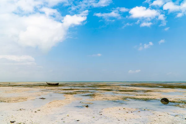 Mavi gökyüzünün altında sahili gösteren manzara..