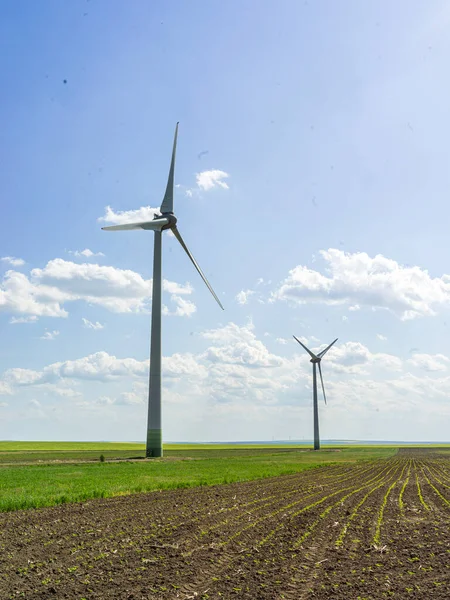 İki rüzgar türbini yeşil bir alanda duruyor..