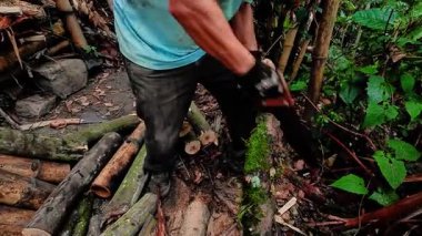 Ormandaki bir arazide ağaç kesen bir oduncu.