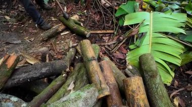 Ağaç gövdelerini kesen ya da kesen oduncu ellerinde testere tutan bir adam.