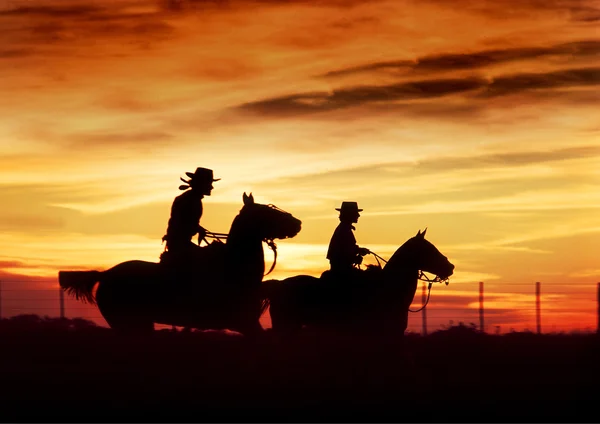 Gaucho ένα caballo en el campo — Φωτογραφία Αρχείου