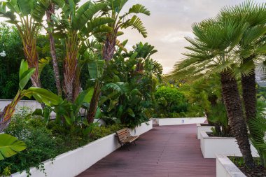A tranquil and peaceful walkway on a wooden deck surrounded by lush exotic plants in a beautifully landscaped park or luxury hotel garden.