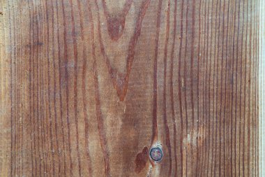 Güzel bir tahıl dokusu ve kendine özgü bir düğümle doğal bir ahşap tahtanın detaylı bir yakın çekimi..